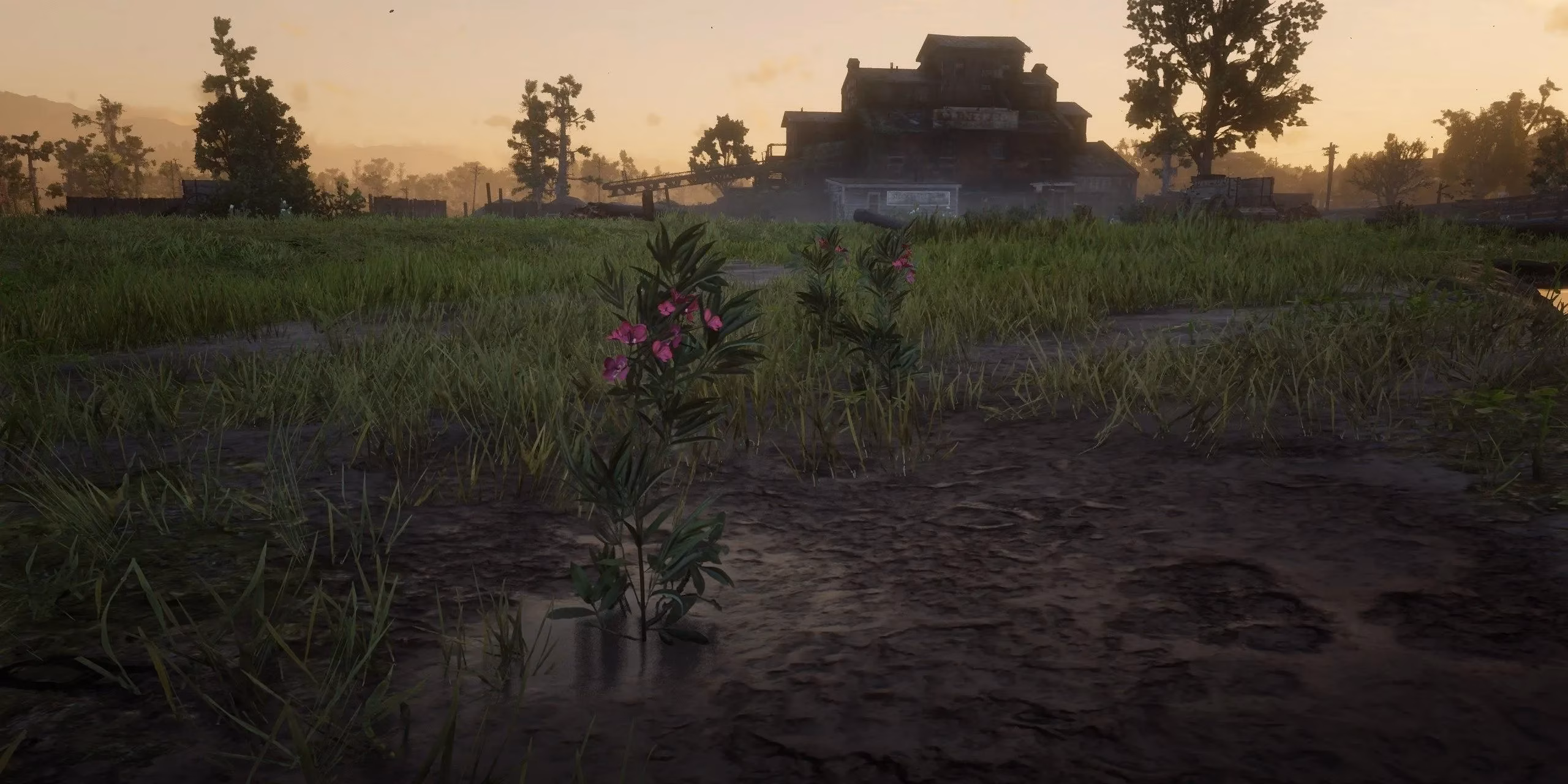 the-untamed-frontier-s-hidden-treasures-red-dead-redemption-2-s-most-rewarding-random-encounters-image-5